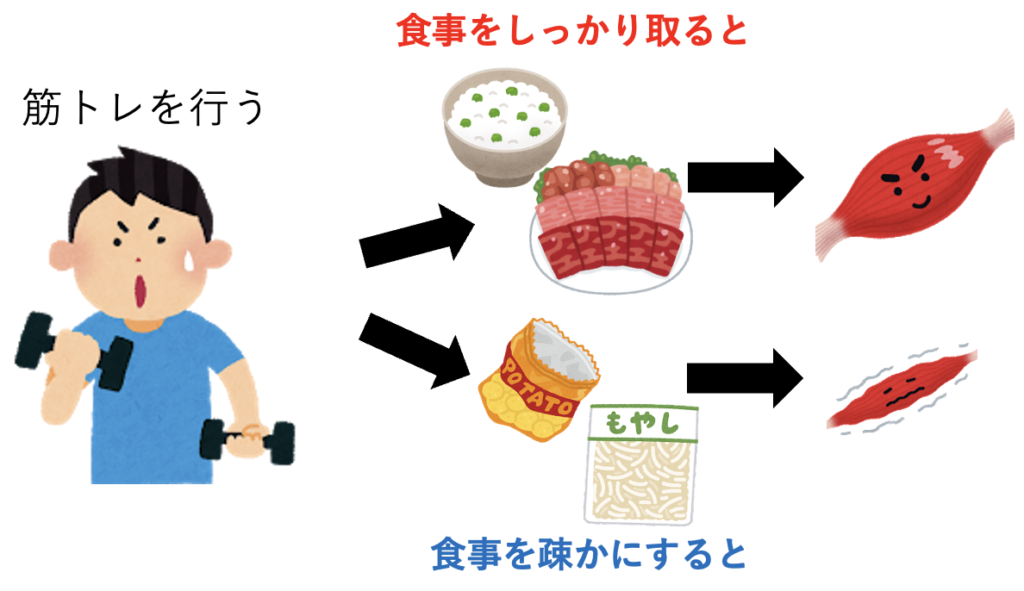 筋トレと食事の関係図